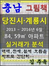 충남 당진시, 계룡시 84, 59㎡ 아파트 매매, 전세, 월세 실거래가 분석 (2013 ~ 2016.6월) 표지 이미지