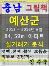 충남 예산군 84, 59㎡ 아파트 매매, 전세, 월세 실거래가 분석 (2013 ~ 2016.6월) 표지 이미지