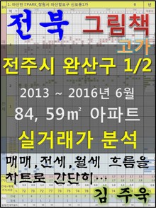 전북 전주시 완산구 1/2 고가 84, 59㎡ 아파트 매매, 전세, 월세 실거래가 분석 (2013 ~ 2016.6월)
