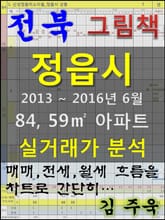 전북 정읍시 84, 59㎡ 아파트 매매, 전세, 월세 실거래가 분석 (2013 ~ 2016.6월) 표지 이미지