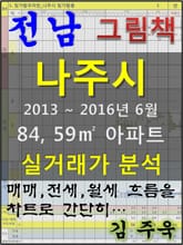 전남 나주시 84, 59㎡ 아파트 매매, 전세, 월세 실거래가 분석 (2013 ~ 2016.6월) 표지 이미지
