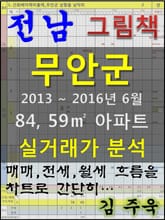 전남 무안군 84, 59㎡ 아파트 매매, 전세, 월세 실거래가 분석 (2013 ~ 2016.6월) 표지 이미지