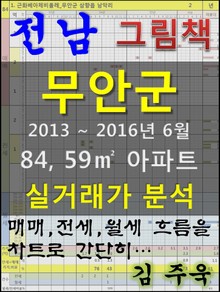 전남 무안군 84, 59㎡ 아파트 매매, 전세, 월세 실거래가 분석 (2013 ~ 2016.6월)