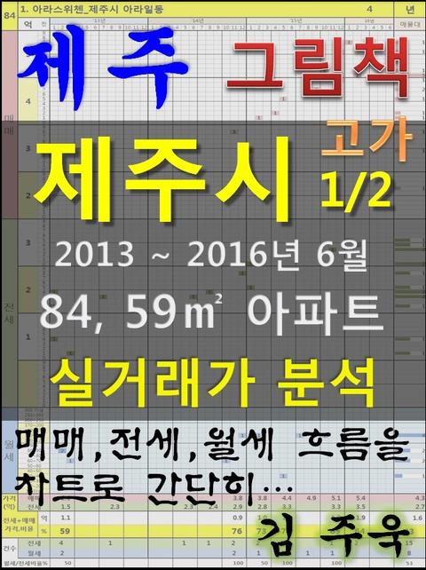 제주 제주시 1/2 고가 84, 59㎡ 아파트 매매, 전세, 월세 실거래가 분석 (2013 ~ 2016.6월) 표지 이미지