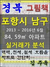 경북 포항시 남구 84, 59㎡ 아파트 매매, 전세, 월세 실거래가 분석 (2013 ~ 2016.6월) 표지 이미지