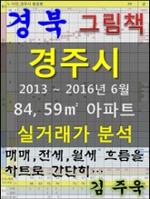 경북 경주시 84, 59㎡ 아파트 매매, 전세, 월세 실거래가 분석 (2013 ~ 2016.6월) 표지 이미지