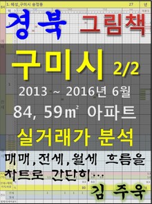 경북 구미시 2/2 84, 59㎡ 아파트 매매, 전세, 월세 실거래가 분석 (2013 ~ 2016.6월)