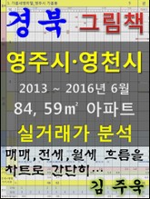 경북 영주시 영천시 84, 59㎡ 아파트 매매, 전세, 월세 실거래가 분석 (2013 ~ 2016.6월) 표지 이미지