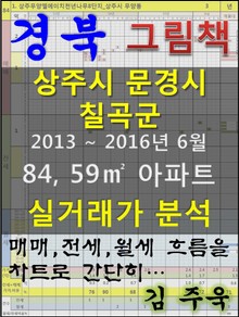경북 상주시 문경시 칠곡군 84, 59㎡ 아파트 매매, 전세, 월세 실거래가 분석 (2013 ~ 2016.6월)