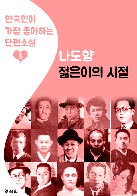 젊은이의 시절 : 나도향 5 (한국인이 가장 좋아하는 단편소설) 표지 이미지