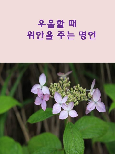 우울할 때 위안을 주는 명언 표지 이미지