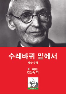수레바퀴 밑에서 제6-7장