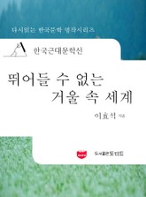 한국근대문학선: 뛰어들 수 없는 거울 속 세계 (이효석 56) 표지 이미지