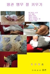 왕관 앵무 잘 키우기 표지 이미지