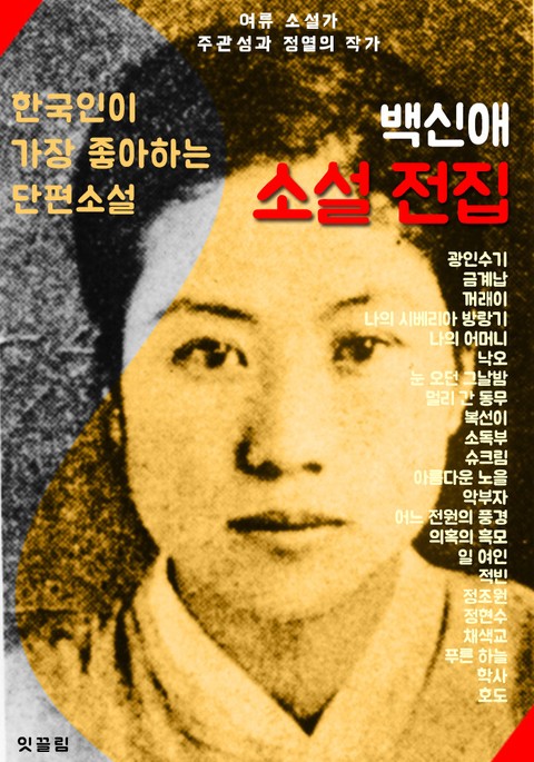 백신애 소설 전집 (광인수기.꺼래이.정조원.적빈 외 다수 24선) 표지 이미지