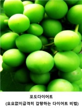 포도다이어트 표지 이미지