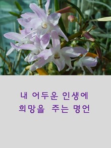 알아두면 지혜로운 명언