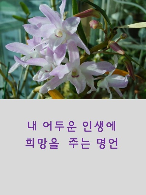 알아두면 지혜로운 명언 표지 이미지