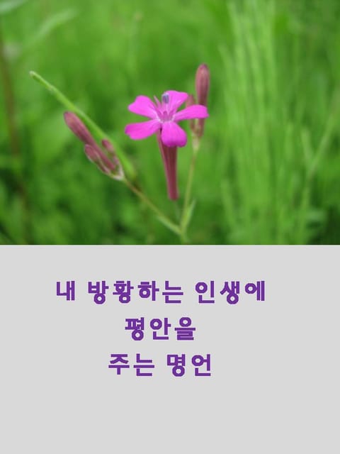 새겨두면 지혜로운 명언 표지 이미지