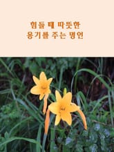 힘들 때 따뜻한 용기를 주는 명언 표지 이미지