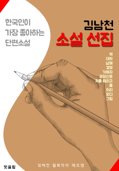 김남천 소설 선집 : 잊혀진 월북 작가 재조명(맥, 처를 때리고, 대하 외 11작품) 표지 이미지