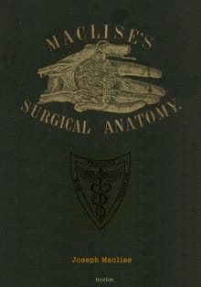 Surgical Anatomy (수술해부학)