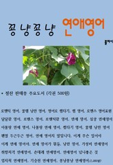 꽁냥꽁냥 연애영어 표지 이미지