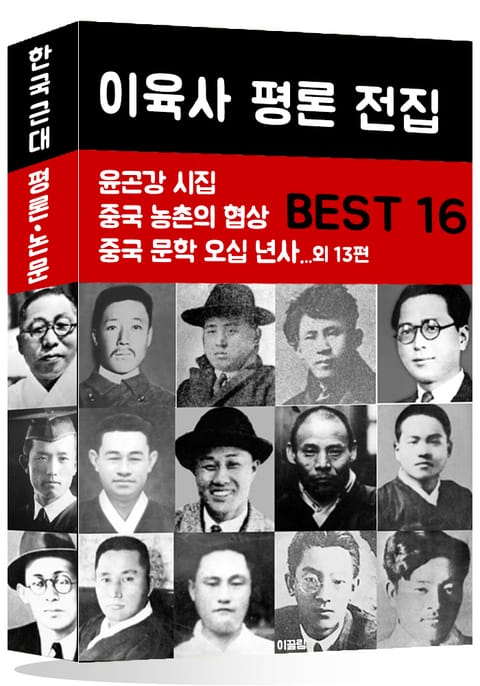 이육사 평론 전집 BEST 16 표지 이미지