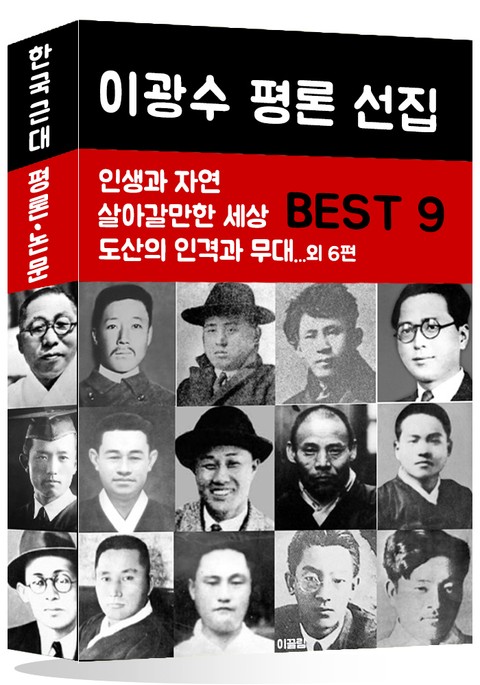 이광수 평론 선집 BEST 9 표지 이미지