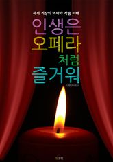 인생은 오페라처럼 즐거워 (세계 거장의 역사와 작품이해) 표지 이미지