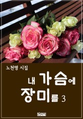 내 가슴에 장미를 3 표지 이미지