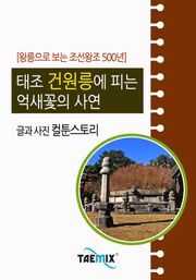 [왕릉으로 보는 조선왕조 500년] 태조 건원릉에 피는 억새꽃의 사연
