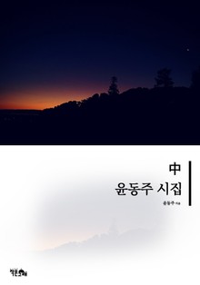 윤동주 시집 중