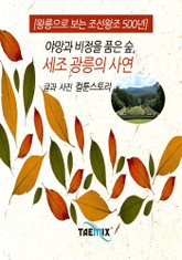 [왕릉으로 보는 조선왕조 500년] 야망과 비정을 품은 숲, 세조 광릉의 사연 표지 이미지
