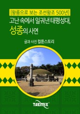 [왕릉으로 보는 조선왕조 500년] 고난 속에서 일궈낸 태평성대, 성종의 사연 표지 이미지