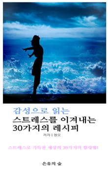 감성으로 읽는 스트레스를 이겨내는 30가지의 레시피