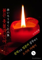 붉은 촛불과 인어 (赤いろうそくと人魚) <오가와 미메이> 문학으로 일본어 공부하기! 표지 이미지