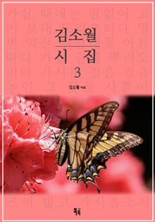 김소월시집3