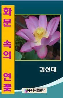 화분 속의 연꽃