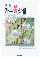 김소월 가는 봄 삼월 표지 이미지