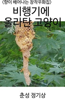 <향이 배어나는 창작우화집> 비행기에 올라 탄 고양이