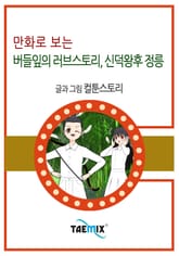 만화로 보는 버들잎의 러브스토리, 신덕왕후 정릉 표지 이미지