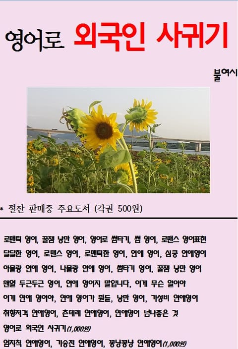 영어로 외국인 사귀기 표지 이미지