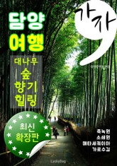 가자, 담양 여행 (최신 확장판: 죽녹원, 소쇄원, 메타세쿼이아 가로수 길!) 표지 이미지