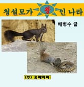 청설모가 왕인 나라 표지 이미지