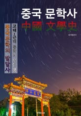 중국 문학사 (중국 문학 발달사의 모든 것!) 표지 이미지