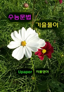 수능문법 기출풀이