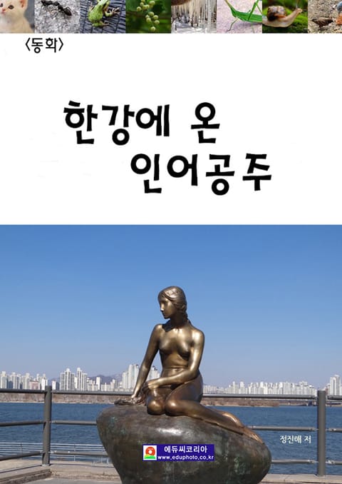 한강에 온 인어공주 표지 이미지