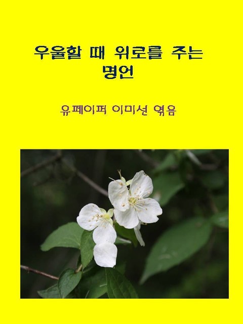 방황하는 마음을 다잡아주는 명언 표지 이미지