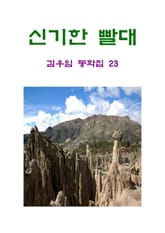 신기한 빨대 표지 이미지